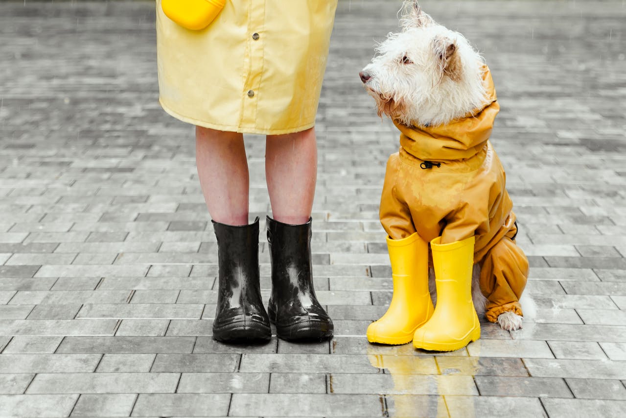 Footwear Rainy Days